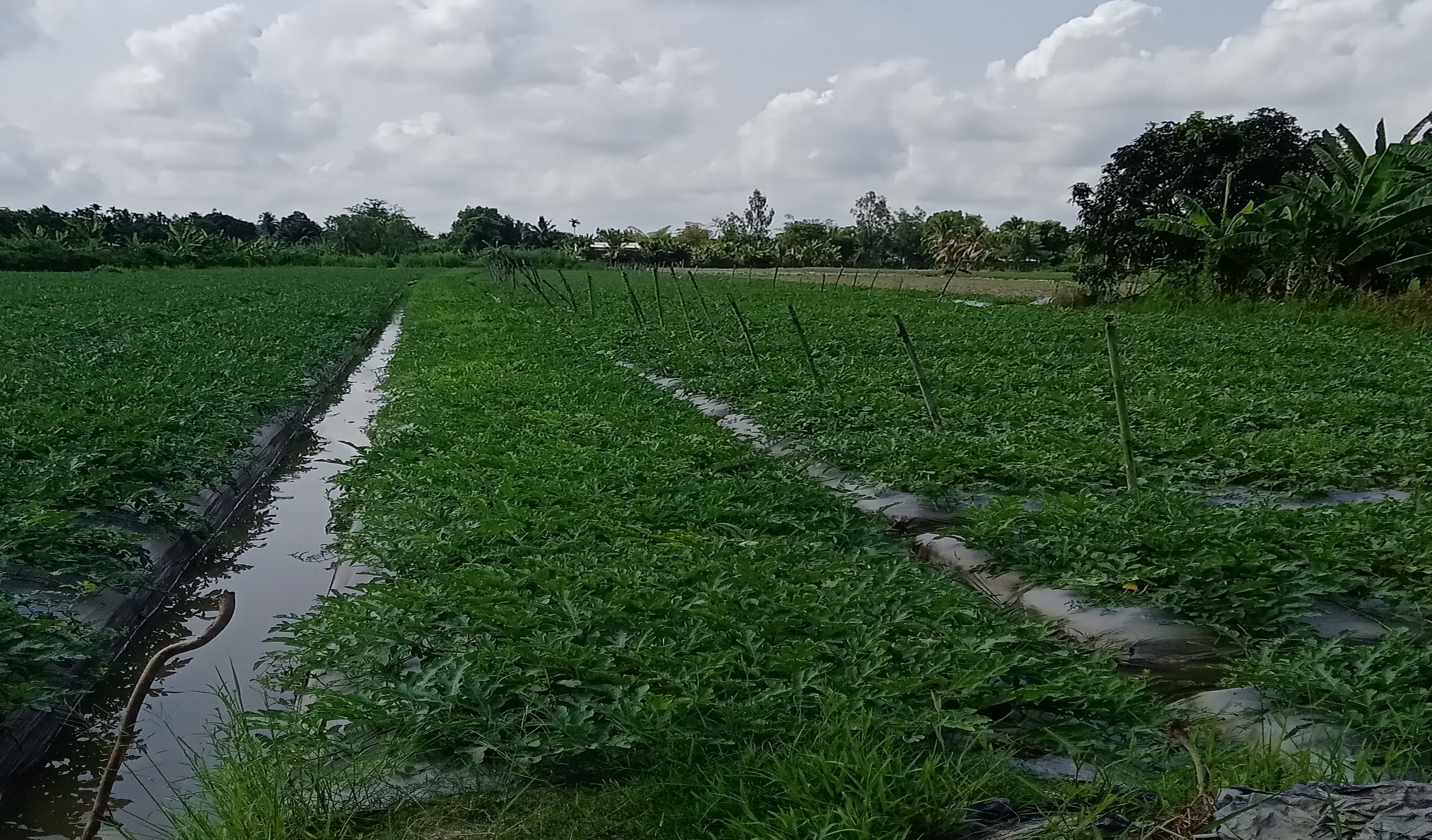 coutryside canthobiketours