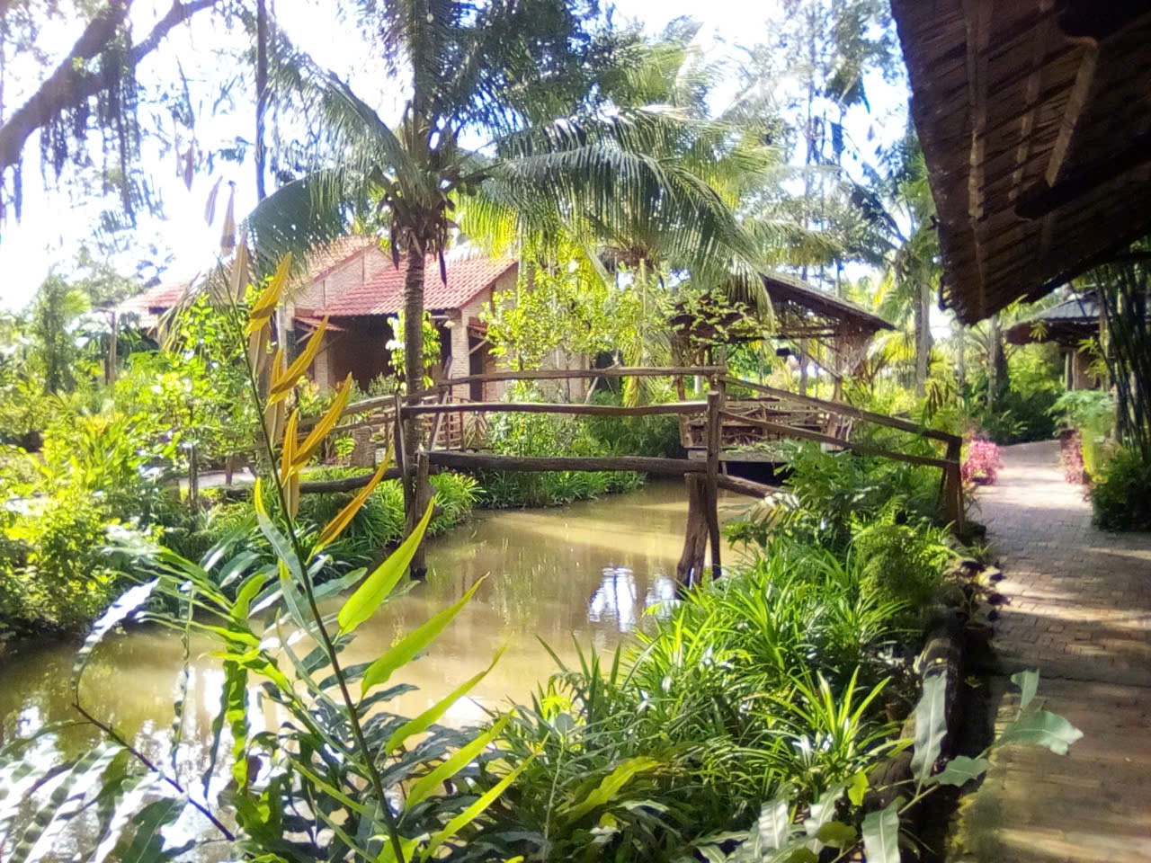 Nature