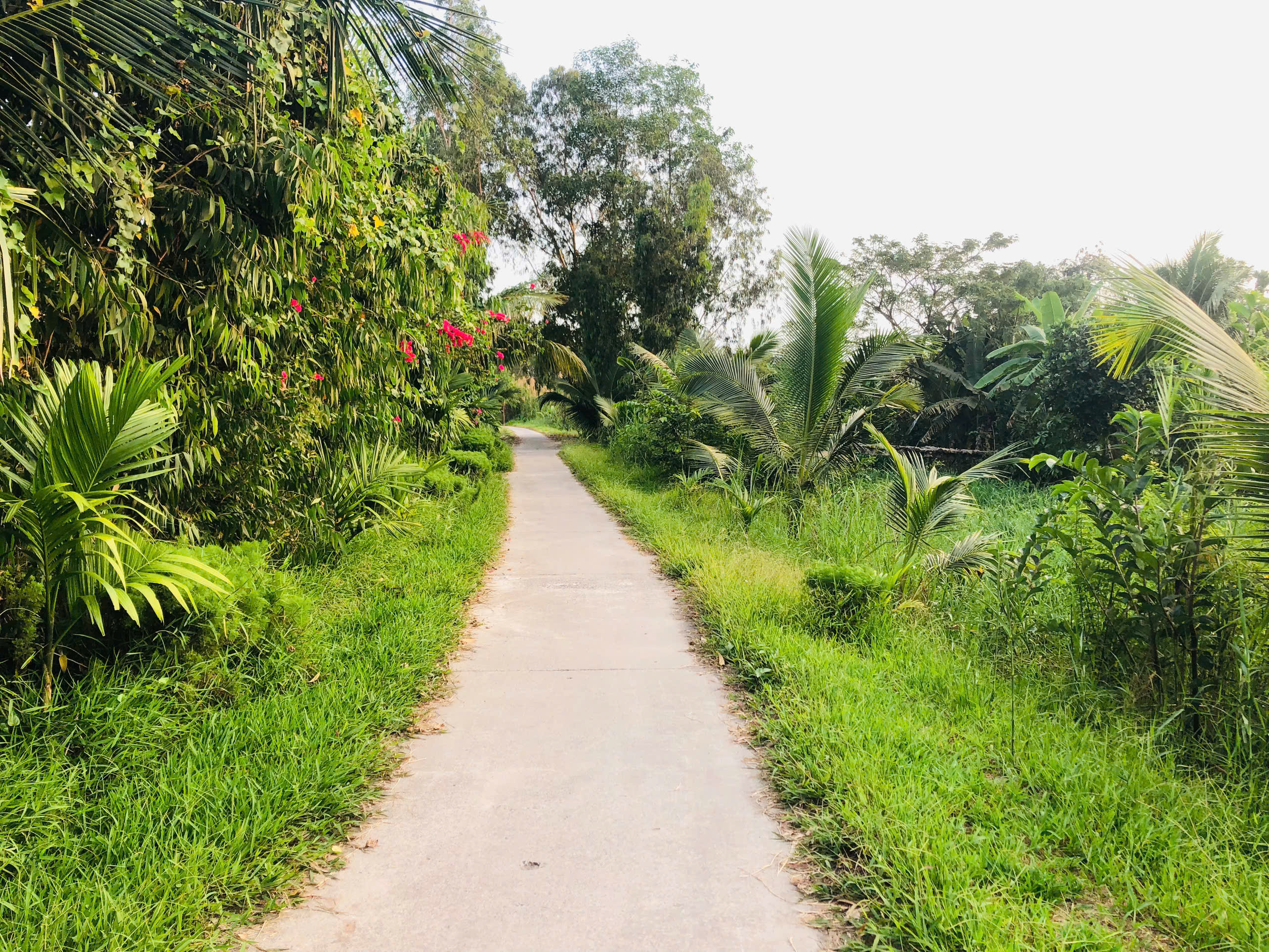 path-canthobiketours