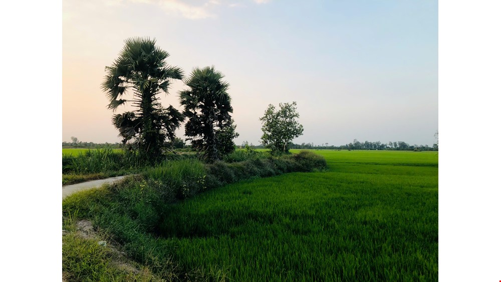 COUNTRYSIDE BIKING 20KM