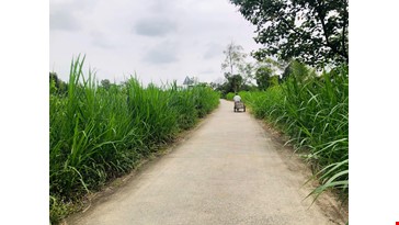 Countryside Biking Can Tho 25km