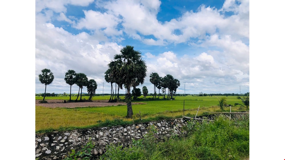 MEKONG DELTA BIKING TOUR