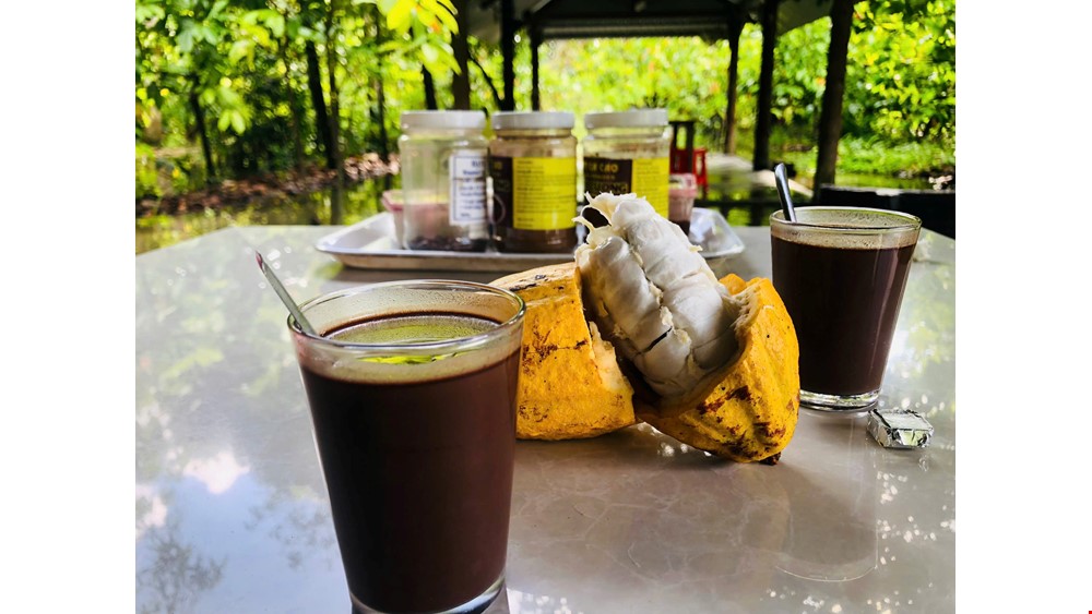 COUNTRYSIDE BIKING 18KM