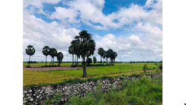 Chau Doc Bike Tour