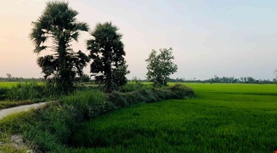 SCENIC VIEW MEKONG