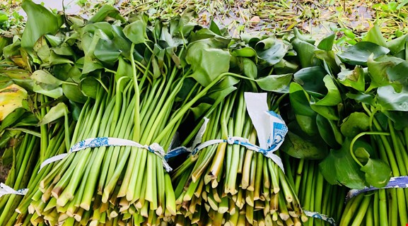 BIKING CAN THO - VINH LONG 37KM