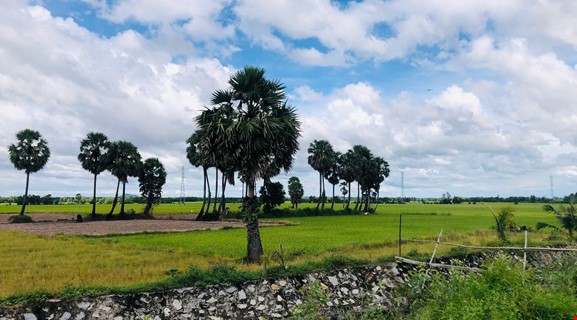 MEKONG ROUTE & PATH CAN THO - LONG XUYEN - CHAU DOC