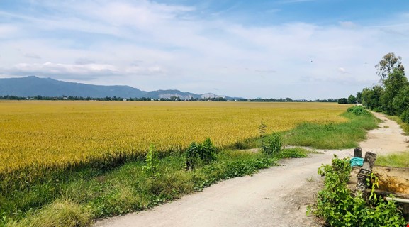 MEKONG ROUTE & PATH CAN THO - LONG XUYEN - CHAU DOC BY BIKE