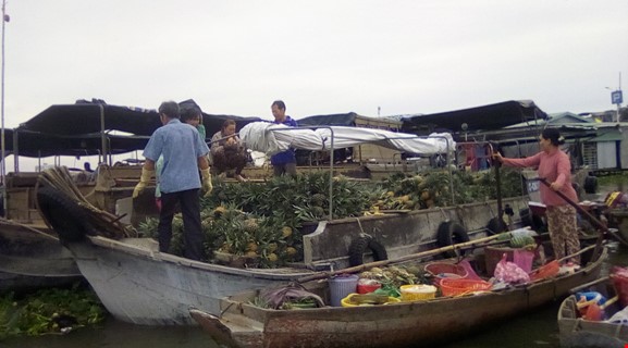 CAI RANG FLOATING MARKET TOUR