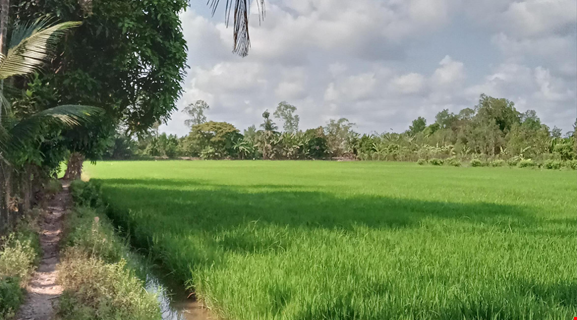 COUNTRYSIDE BIKING CAN THO - THOI LAI 40Km