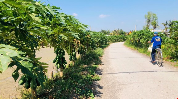 BIKKING PHONG DIEN-THOI LAI-CO DO-BANG LANG BIRD GARDEN 65KM