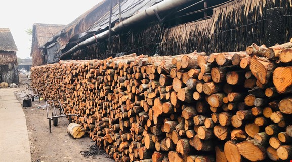 BIKING TO NATURE RESERVE CAN THO 30-55Km