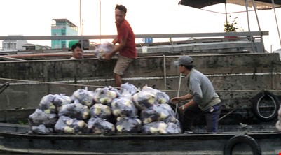 FLOATING MARKET & FRUIT GARDEN & CYCLING