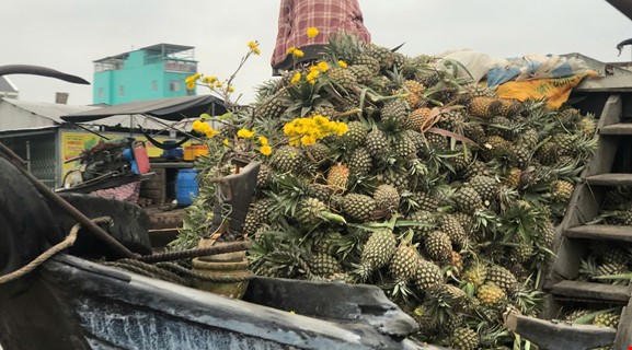 MEKONG DELTA TOUR W COUNTRYSIDE HOMESTAY