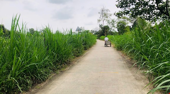 SIGHTSEEING BIKING CAN THO RURAL 18km ( Group Tour)