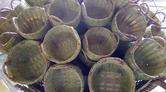 LUNG NGOC HOANG NATURE RESERVE AND WILDLIFE 