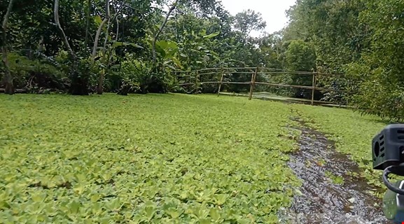  NATURE RESERVE AND WILDLIFE ( Lung Ngoc Hoang )