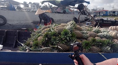 CAI RANG FLOATING MARKET TOUR