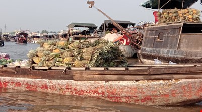 FLOATING MARKET & FRUIT GARDEN & CYCLING