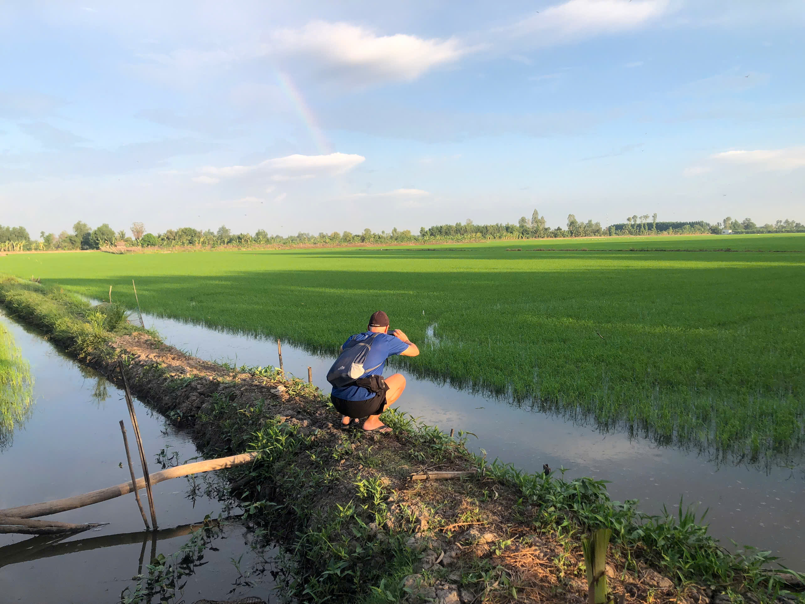 rice field-canthobiketous