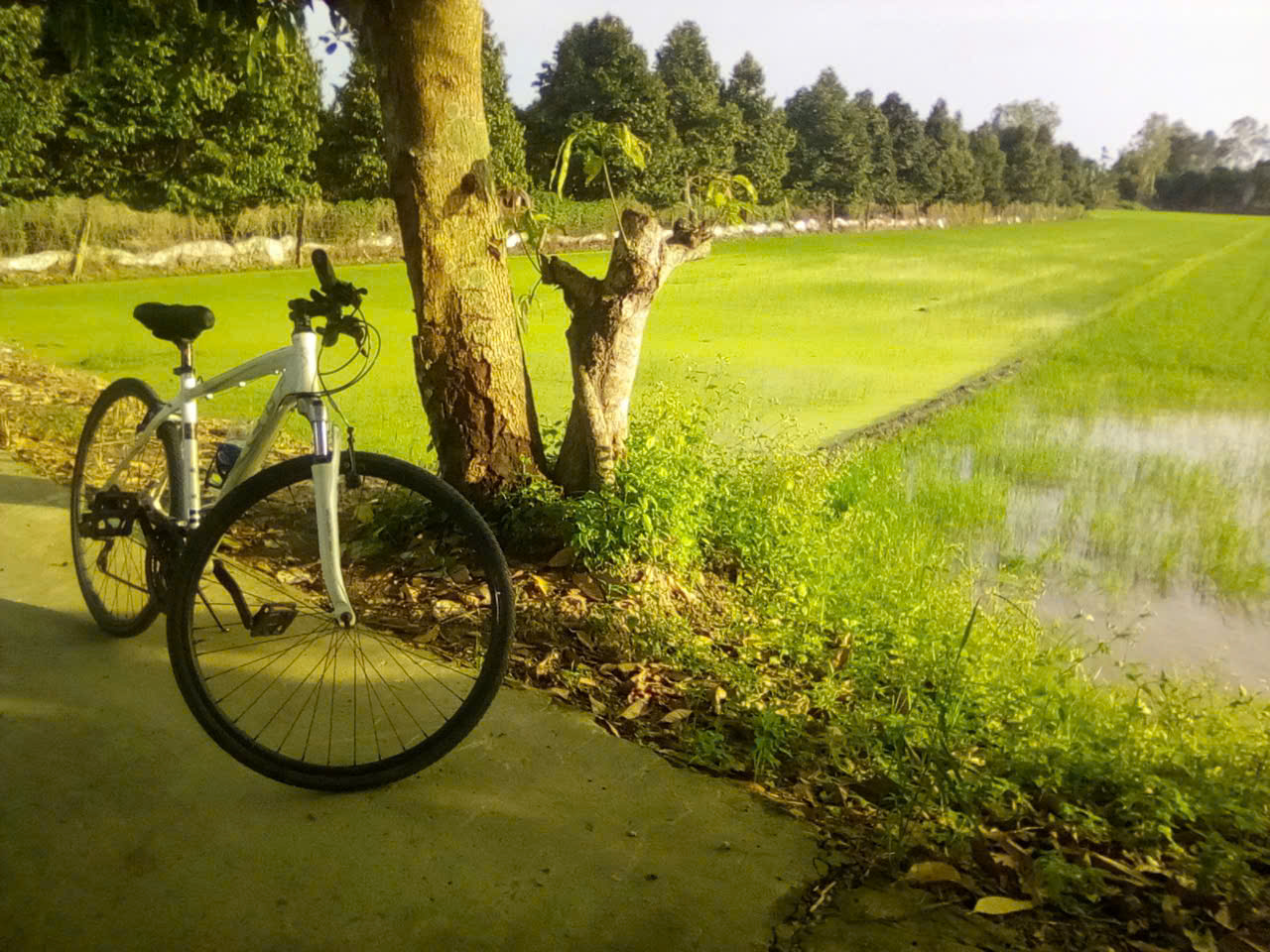 bicycle-canthobiketours